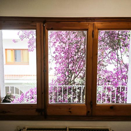 El Penell Apartament Llevant Vilamaniscle Экстерьер фото