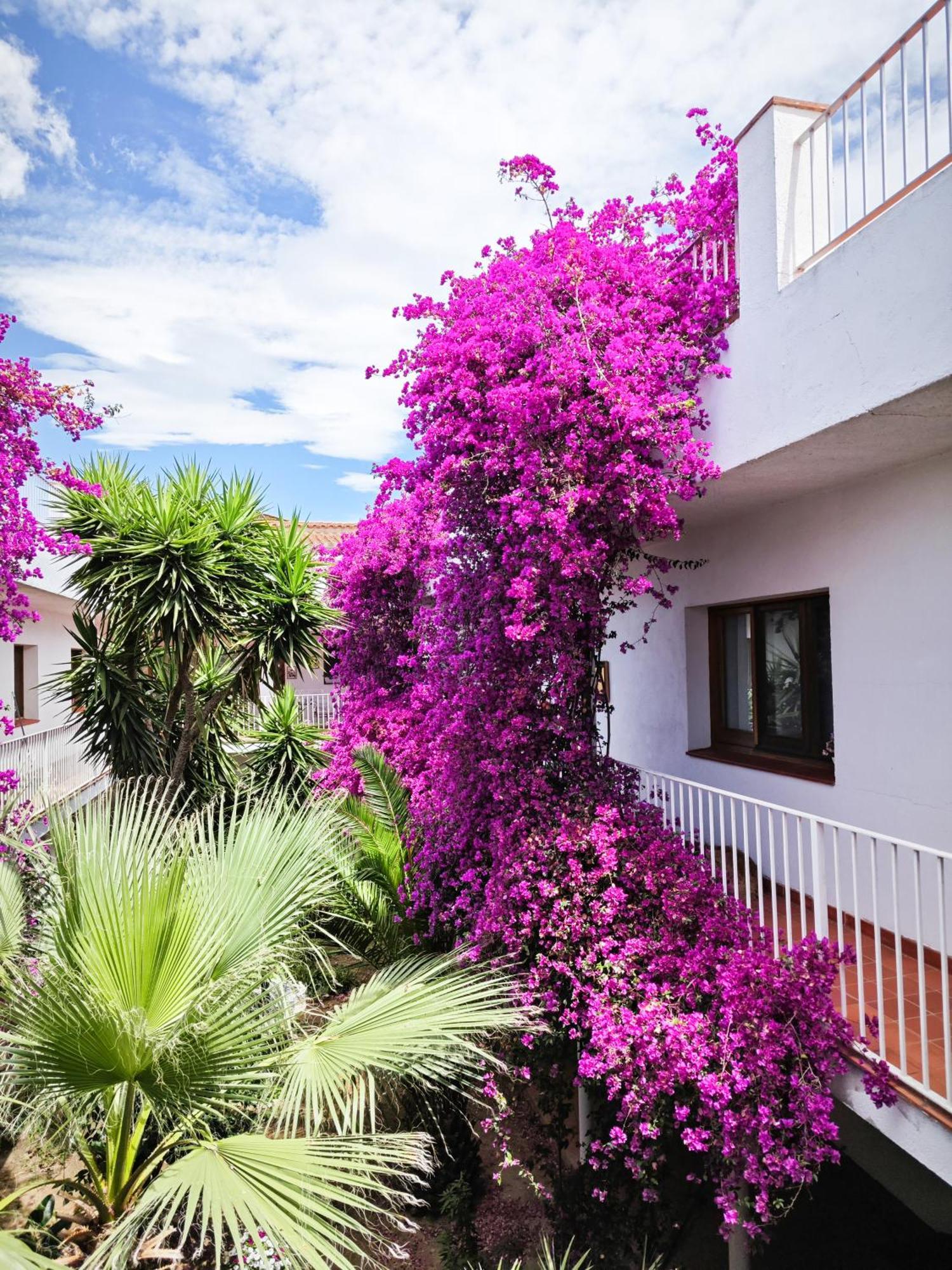 El Penell Apartament Llevant Vilamaniscle Экстерьер фото